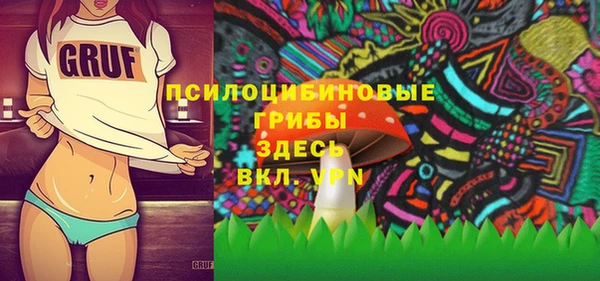 кокс Болотное