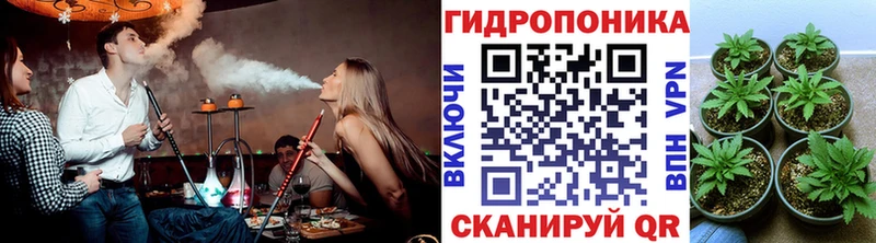 купить  сайты  Сясьстрой  Конопля VHQ 